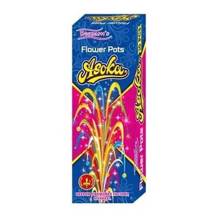FLOWER POT ASHOKA